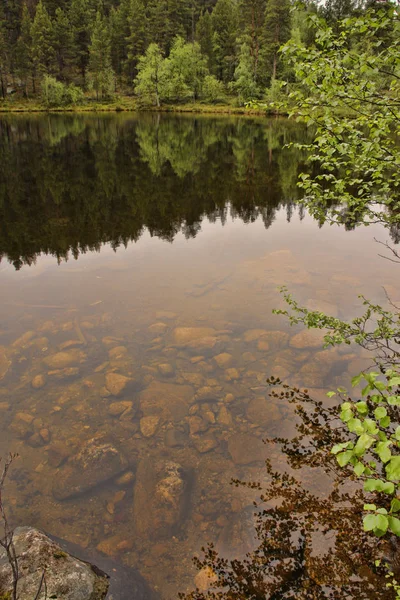 Beleza Natureza Finlandesa — Fotografia de Stock