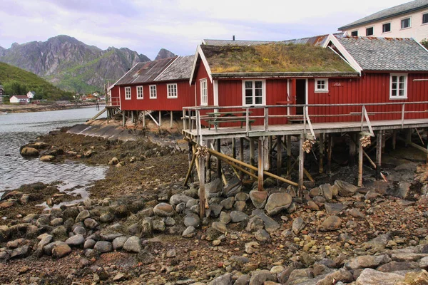 Casas Típicas Costa Noruega — Fotografia de Stock