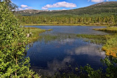 Güzel el değmemiş doğası Norveççe göller, Norveç