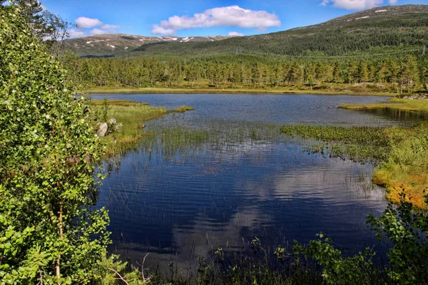 Bela Natureza Intocada Dos Lagos Noruegueses Noruega — Fotografia de Stock