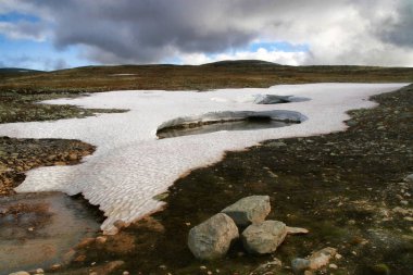 Kırsal kesimde Dovrefjell Milli Parkı, Norveç