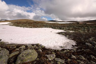 Kırsal kesimde Dovrefjell Milli Parkı, Norveç