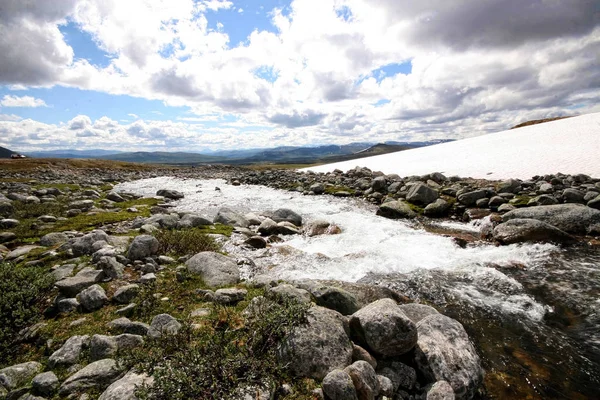 Campo Dovrefjell National Park Noruega — Fotografia de Stock