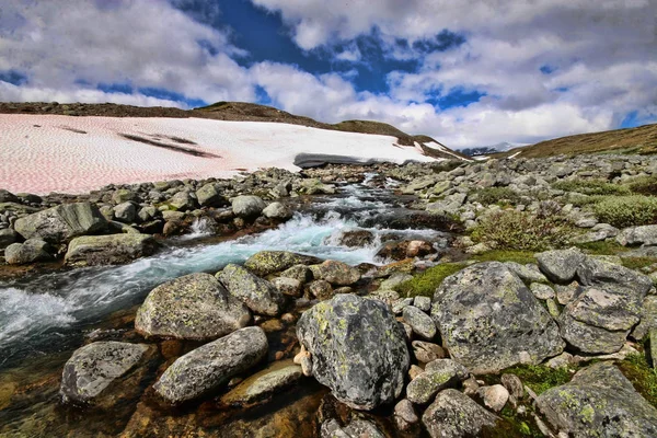 Piedras Cubiertas Líquenes Parque Nacional Dovrefjell Noruega — Foto de Stock