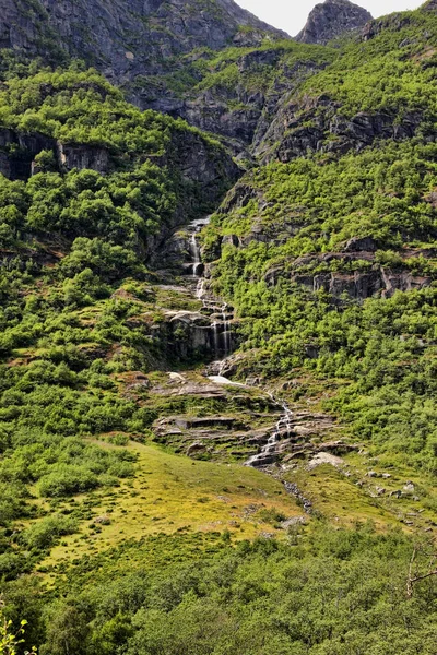Die Schönheit Der Norwegischen Sommerlandschaft — Stockfoto