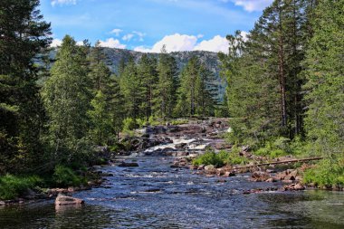 Vahşi İskandinav nehir, Norveç