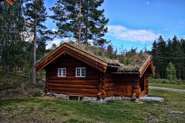 Casa Madera Original Con Techo Cubierto Hierba Noruega — Foto de Stock