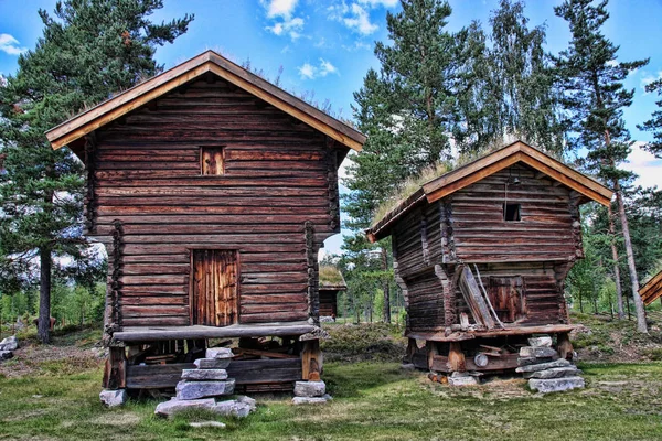 Original Wooden Cottage Grassy Roof Norway — Stock Photo, Image