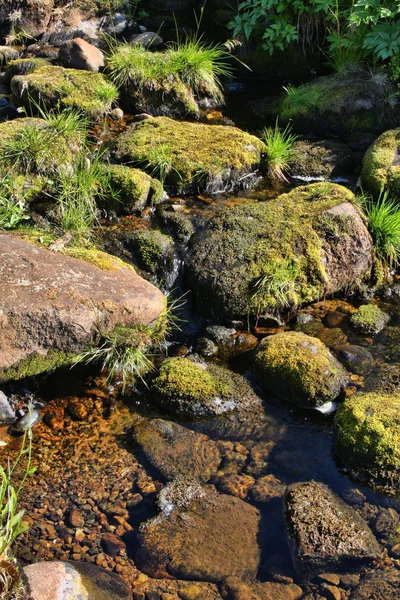 Feitiços Dos Rios Montanha Noruegueses Noruega — Fotografia de Stock