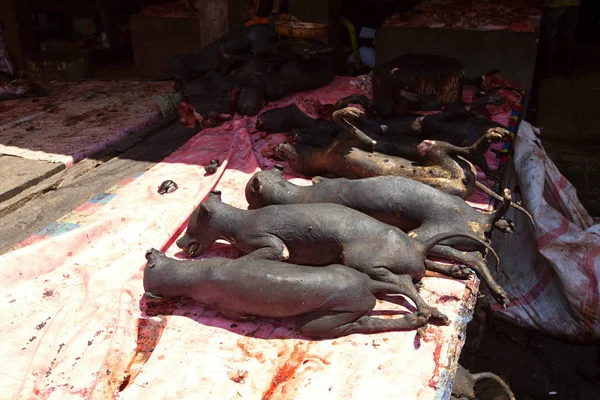 Perros Para Hornear Mercado Tradicional Ciudad Tomohon Sulawesi Indonesia — Foto de Stock