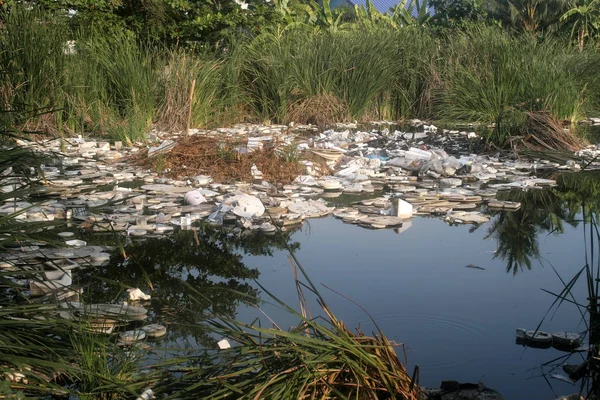 massive water pollution, Thailand