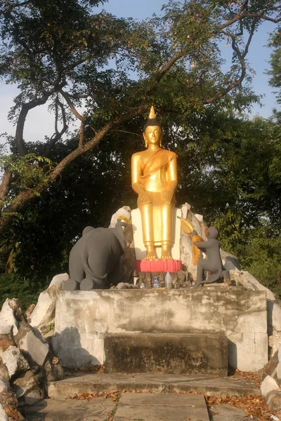 Harabeleri Ayutthaya Krallığı Tayland — Stok fotoğraf