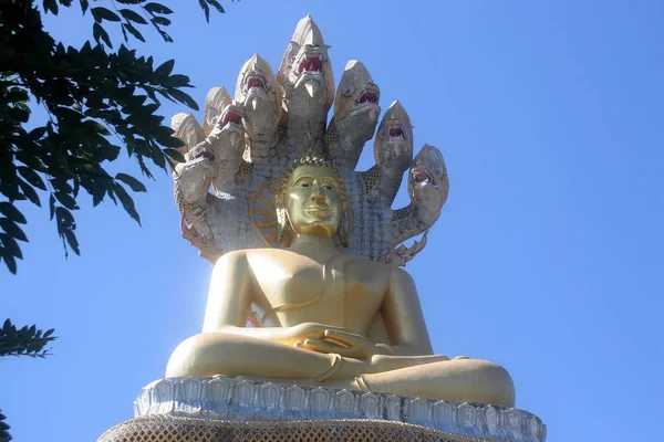 Buda Büyük Heykelciği Kuzey Dağlarında Ejderha Ile Tayland — Stok fotoğraf
