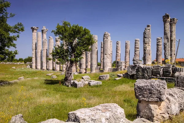 Tempio Zeus Uzuncaburc Turchia — Foto Stock