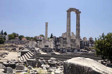 Didyma Apollon Tapınağı, Türkiye