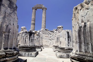 Didyma Apollon Tapınağı, Türkiye