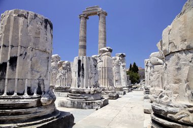 Didyma Apollon Tapınağı, Türkiye
