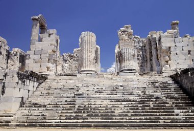 Didyma Apollon Tapınağı, Türkiye