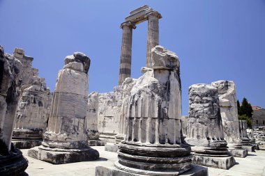 Didyma Apollon Tapınağı, Türkiye