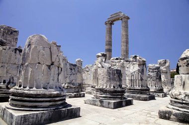 Didyma Apollon Tapınağı, Türkiye