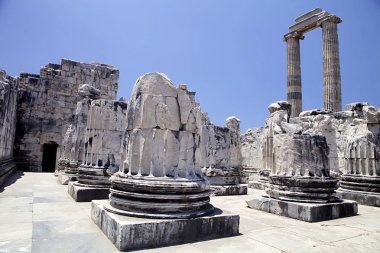 Didyma Apollon Tapınağı, Türkiye
