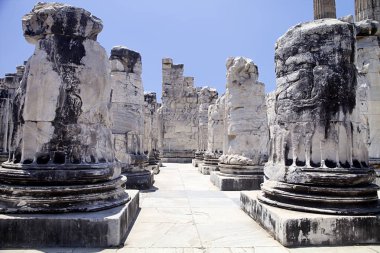 Didyma Apollon Tapınağı, Türkiye