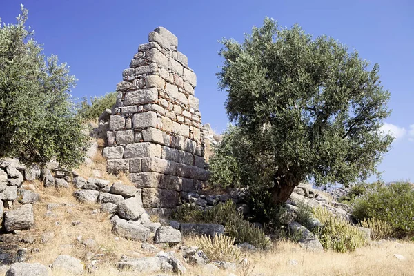 Ruine Vieux Château Sur Lac Bafa Turquie — Photo