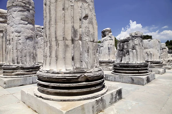 Didyma Apollon Tapınağı Türkiye — Stok fotoğraf