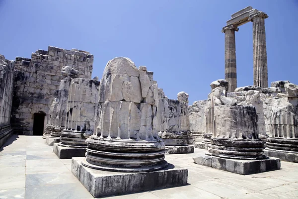 Didyma Apollon Tapınağı, Türkiye