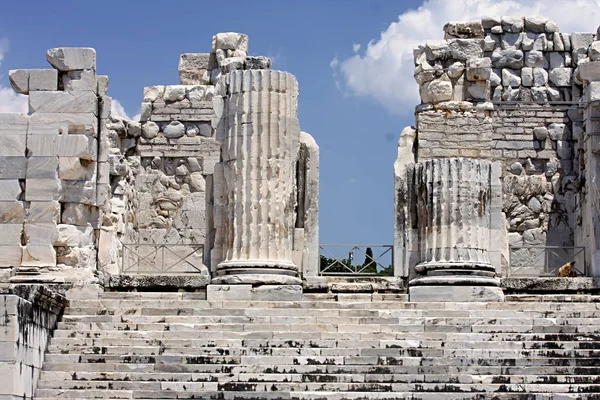 Didima Tempio Apollo Turchia — Foto Stock