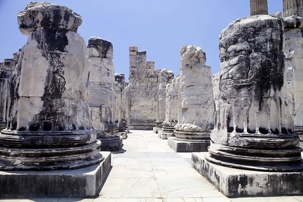 Templo Didyma Apolo Turquia — Fotografia de Stock