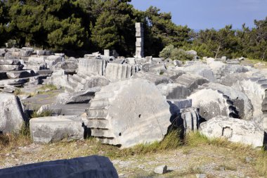 Runes Priene'deki Tapınağı 4 asır önce A.M.