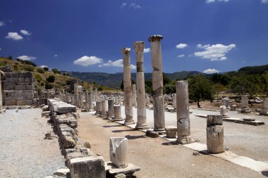 Efes, Türkiye'nin önemli bir arkeolojik anıt