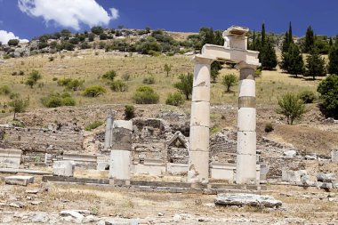 Efes, Türkiye'nin önemli bir arkeolojik anıt