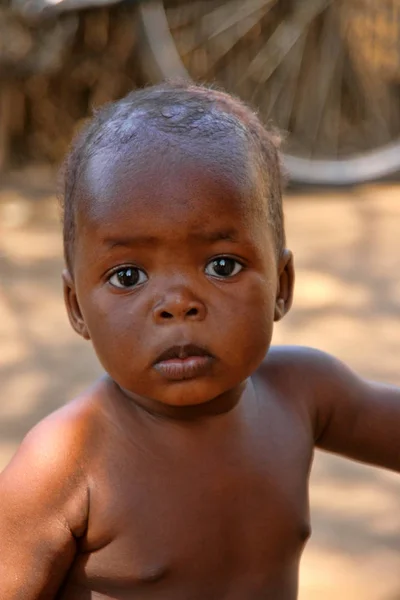 Victoria Falls Zambia Noviembre 2007 Lindo Niño Negro Noviembre 2007 — Foto de Stock