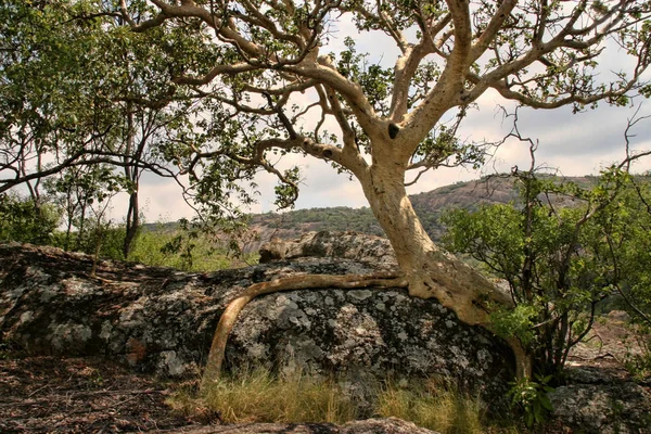 Stinging Rocks Matopos National Park Zimbabwe — Stock Photo, Image