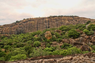 Matopos Milli Parkı, Zimbabve buzlu çok özel bitki örtüsü