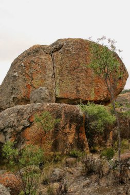 Pitoresk kaya oluşumları Matopos Milli Parkı, Zimbabve