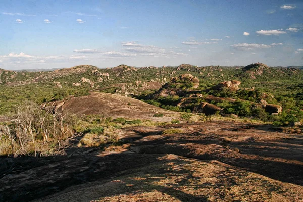Πολύ Ιδιαίτερη Βλάστηση Στους Βράχους Της Matopos Εθνικό Πάρκο Ζιμπάμπουε — Φωτογραφία Αρχείου