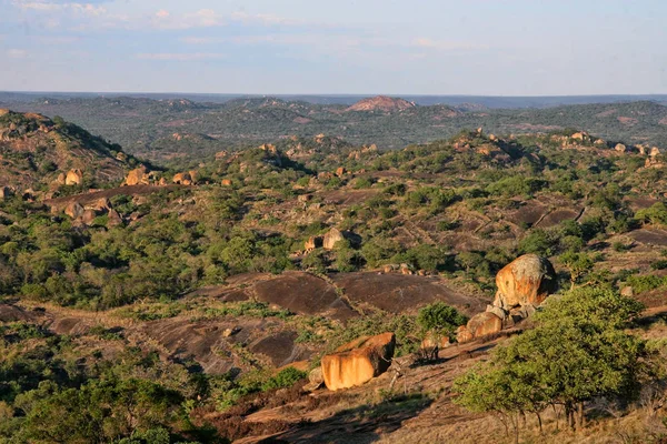 Vegetazione Molto Speciale Sulle Rocce Del Parco Nazionale Matopos Zimbabwe — Foto Stock