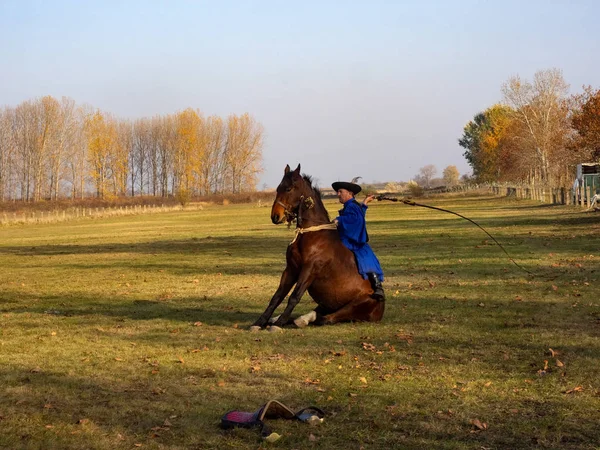 匈牙利霍托巴吉骑马学校示范 — 图库照片