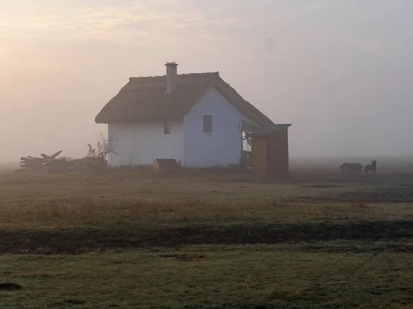 House Shepherds Morning Fog Hungarian Desert — Stock Photo, Image
