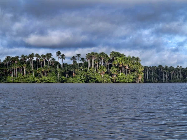 Bela Atmosfera Lago Florestal Sandoval Peru — Fotografia de Stock