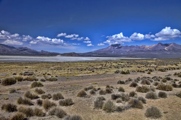 Altiplano Kuru gölde 4000 m, Peru yükseklikte