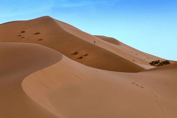 Schoonheid Van Sahara Duinen Rond Merzouga Marokko — Stockfoto