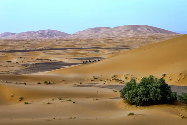 Schoonheid Van Sahara Duinen Rond Merzouga Marokko — Stockfoto