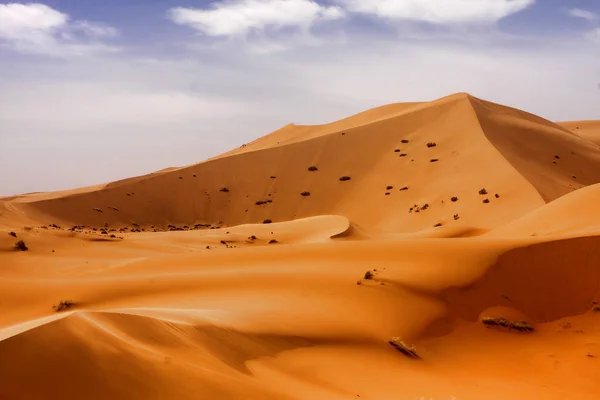 Beauty Saharan Dunes Merzouga Morocco — Stock Photo, Image