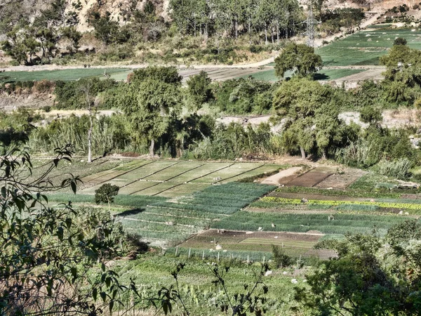 Petits champs d'agriculteurs dans le sud-ouest du Guatemala — Photo