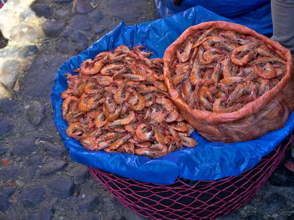 : Garnelen aalen sich auf tahe market, chichi tenango, guatemala — Stockfoto