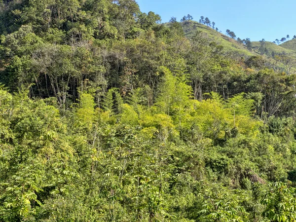 Valle de niebla roto, centro de Guatemala . — Foto de Stock